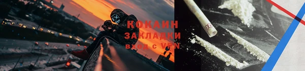 крисы Алзамай
