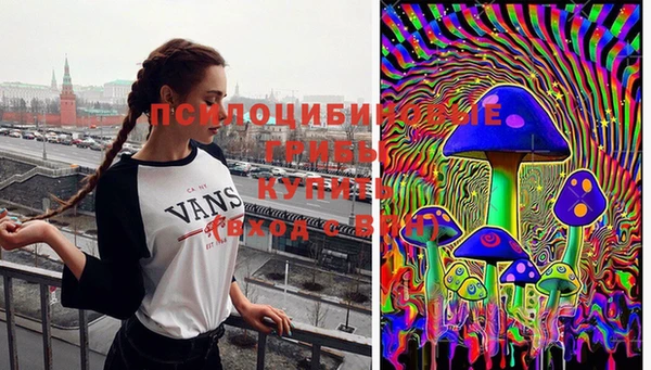 соль курить ск Алексеевка