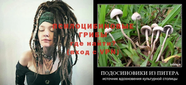 соль курить ск Алексеевка