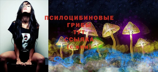 соль курить ск Алексеевка