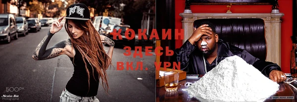 крисы Алзамай